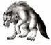 šedý vlkodlak znovu